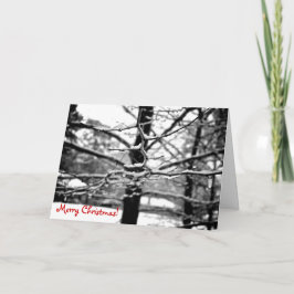 Winter v.2 [Weihnachtskarte] Feiertagskarte