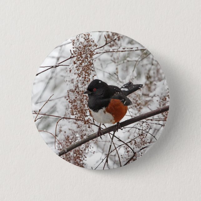 Winter-Vogel im Schnee Button (Vorderseite)