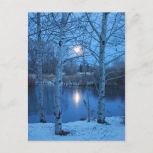 Winter Vollmond am Teich Postkarte