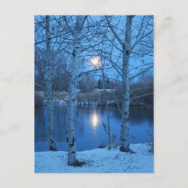 Winter Vollmond am Teich Postkarte