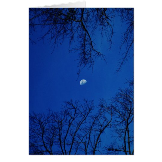 Winter-Vollmond mit Bäumen Karte