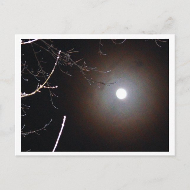 Winter Vollmond Postkarte (Vorderseite)