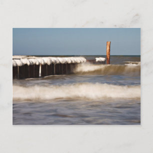 Winter-Wachstum an der Ostsee Postkarte