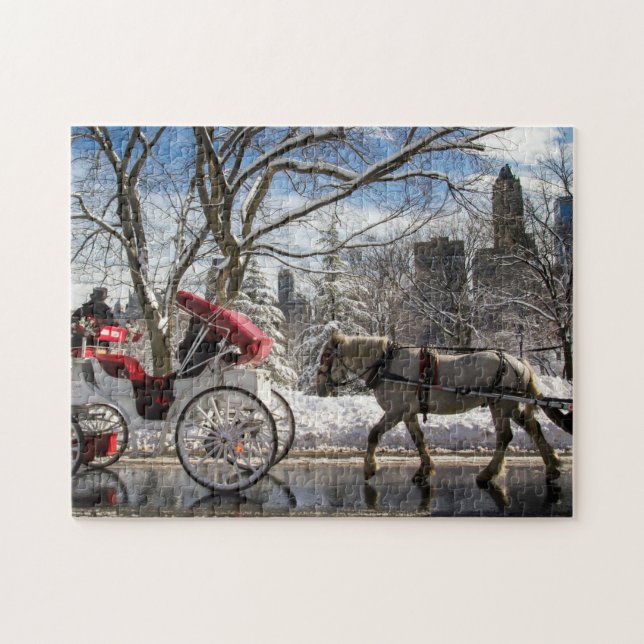 Winter-Wagen-Pferde im Central Park (Horizontal)
