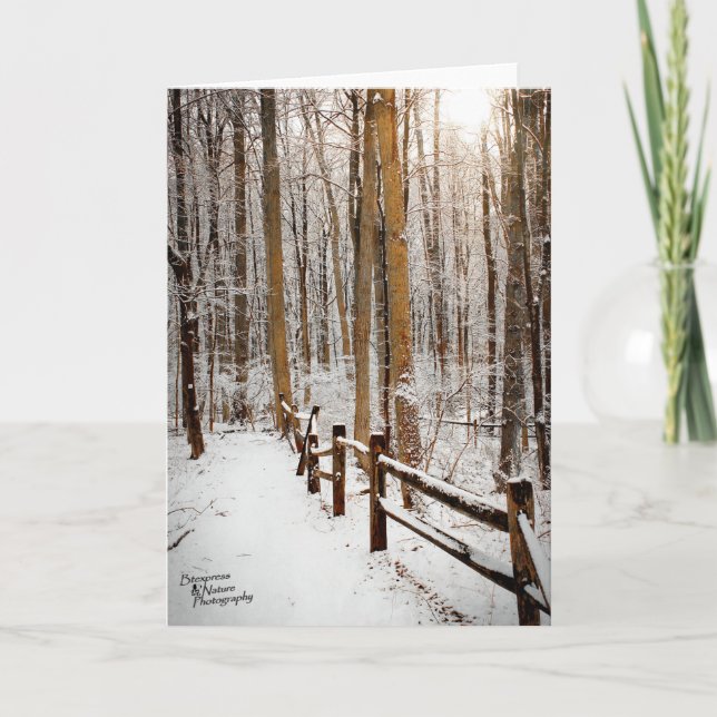 Winter-Weg (5,0) Feiertagskarte (Vorderseite)