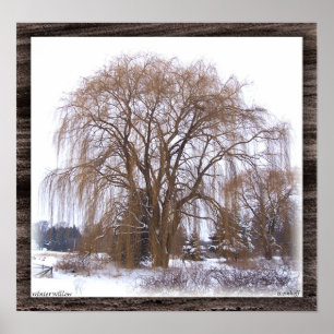 Winter-Weide verfilzt Poster