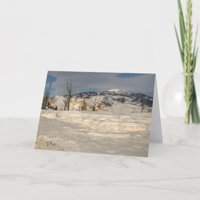 Winter - Weihnachten - Urlaub - Gelbstein - Natur (Vorderseite)
