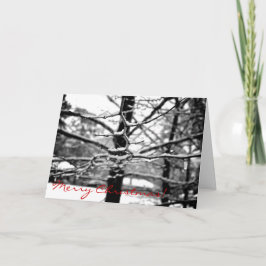 Winter [Weihnachtskarte] Feiertagskarte