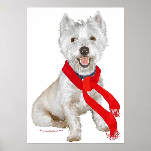 Winter Westie in einem Roten Scarf Poster (Vorne)