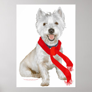 Winter Westie mit rotem Schal Poster