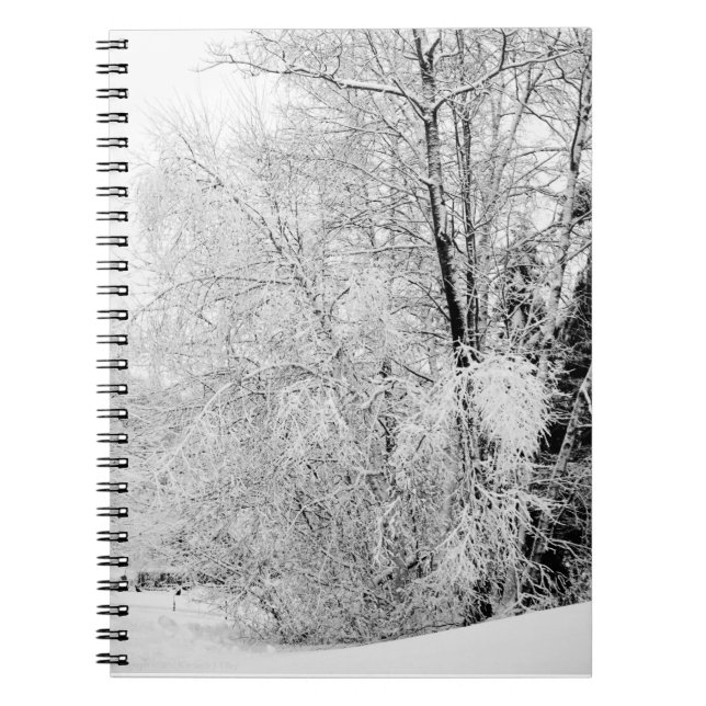 Winter Whites Notebook Notizblock (Vorderseite)