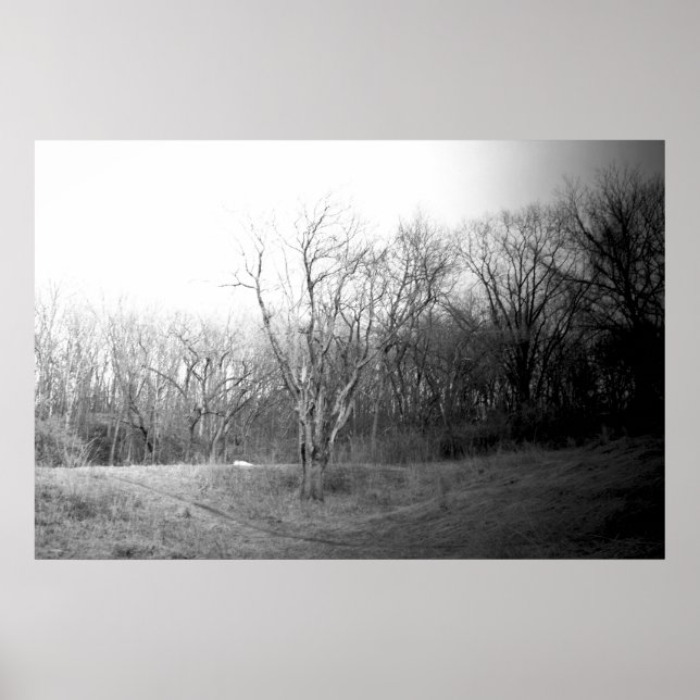 Winter Wind Poster (Vorne)