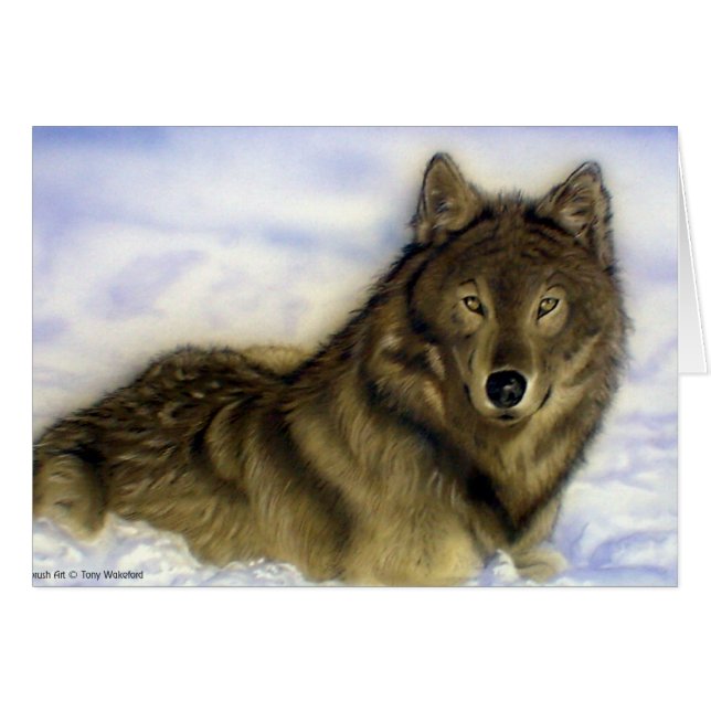 Winter-Wolf (Vorderseite (Horizontal))
