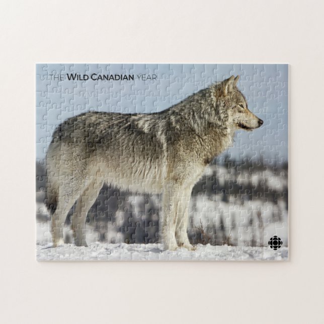 Winter - Wolf (Horizontal)