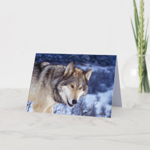 Winter Wolf 2 Karte