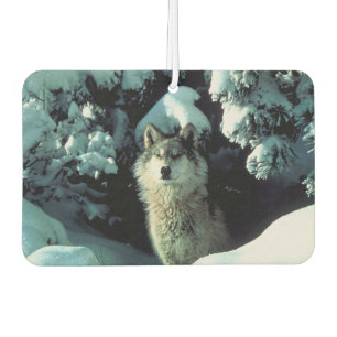 Winter Wolf Autolufterfrischer
