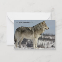 Winter - Wolf