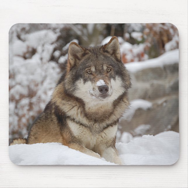 Winter Wolf Mousepad (Vorne)