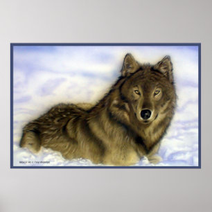 WInter Wolf Poster