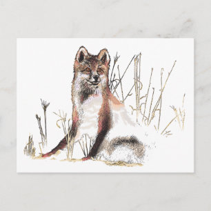 Winter Wolf Postkarte
