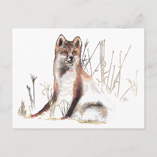 Winter Wolf Postkarte (Vorderseite)