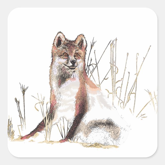 Winter Wolf Quadratischer Aufkleber (Vorderseite)
