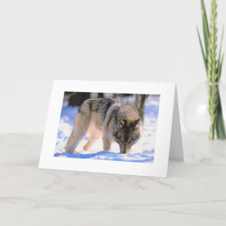 Winter Wolf Weihnachtsschneeurlaub Feiertagskarte