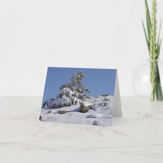 Winter Wonder Jeder Anlass Grußkarte Feiertagskarte (Vorderseite)