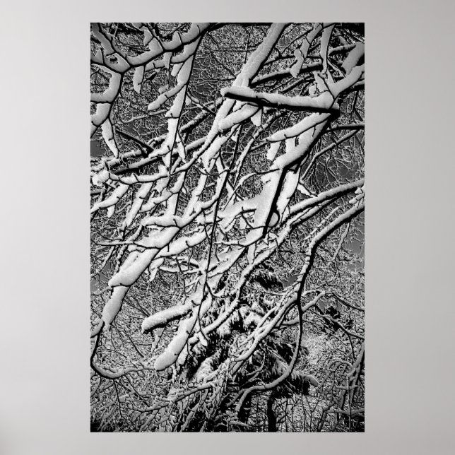 Winter Wonder Poster - 1 (Vorne)