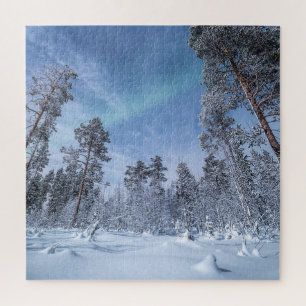 Winter Wonderland