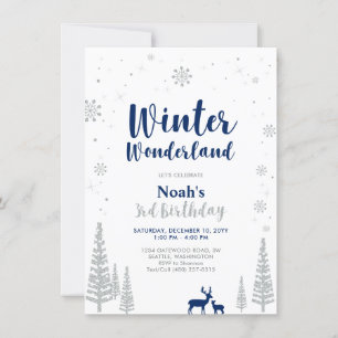 Winter Wonderland 3rd Boy Birthday Einladung