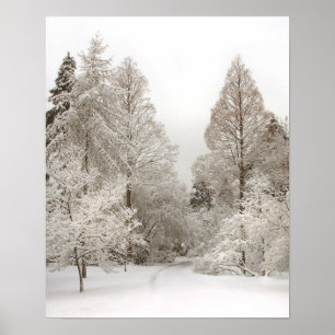 Winter Wonderland Art Print Winter Foster Poster