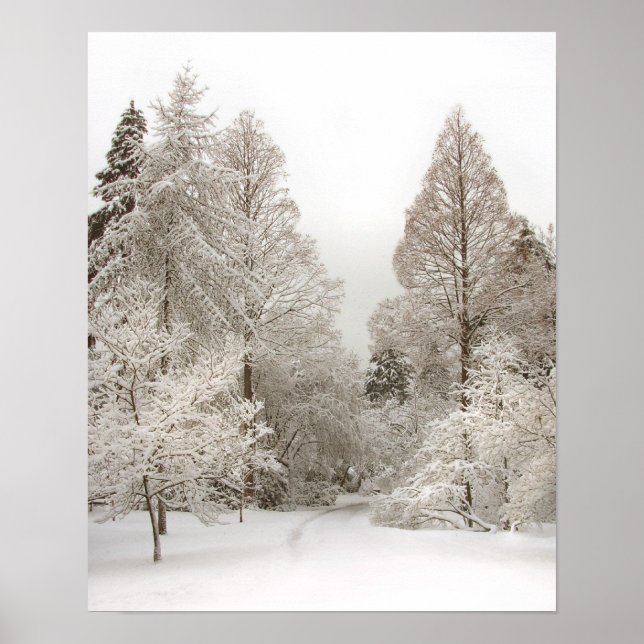 Winter Wonderland Art Print Winter Foster Poster (Vorne)