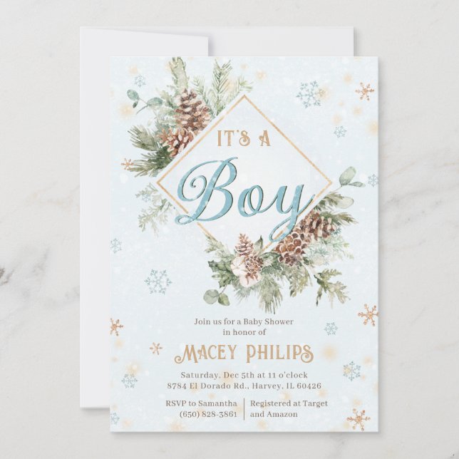 Winter Wonderland Blue Baby Boy Dusche im Garten Einladung (Vorderseite)