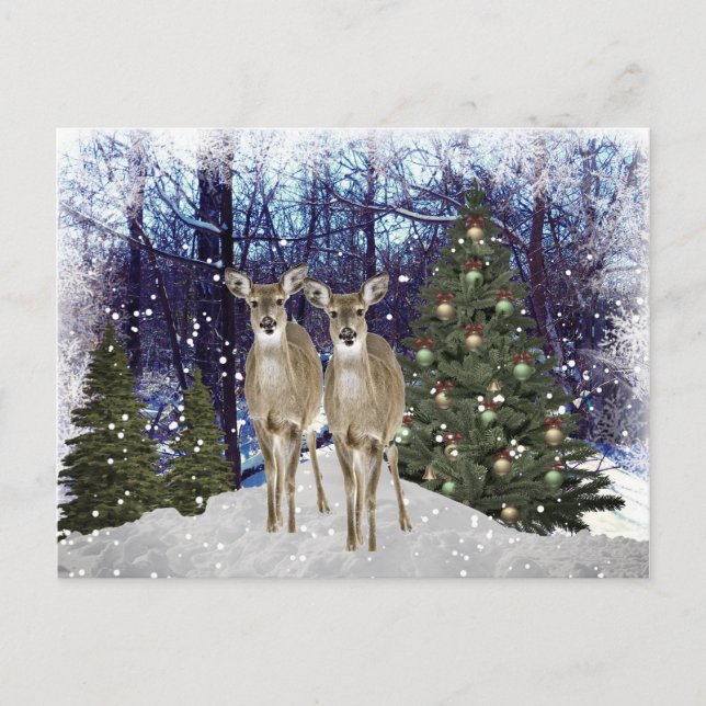 Winter Wonderland Deer et Christmas Tree carte pos (Devant)