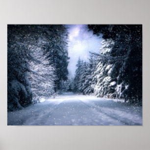 Winter Wonderland Forest Snowfall Poster