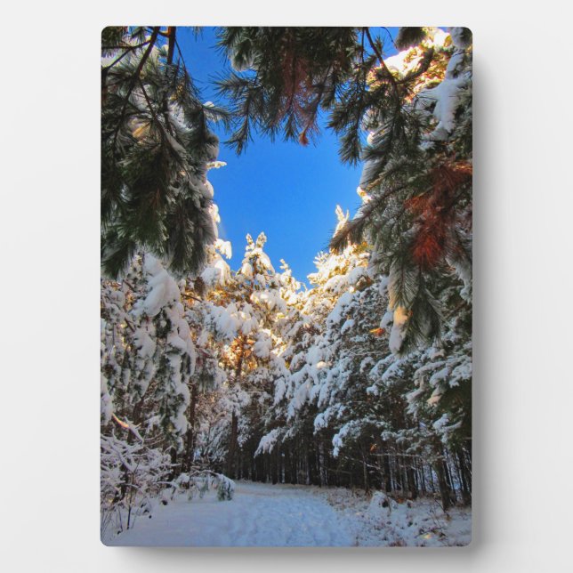 Winter Wonderland Fotoplatte (Vorderseite)