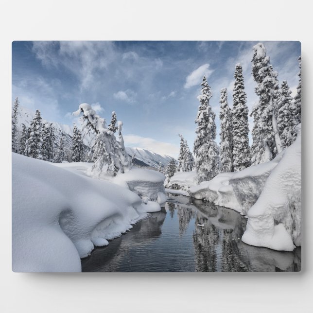 Winter Wonderland Fotoplatte (Vorderseite)