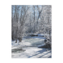 Winter Wonderland Iced Stream Snow Covered Trees