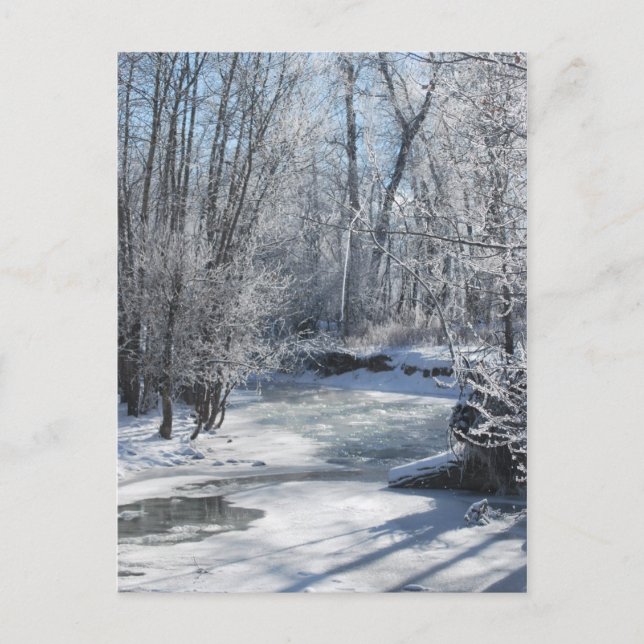 Winter Wonderland Iced Stream Snow Covered Trees Postkarte (Vorderseite)