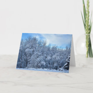 Winter Wonderland Karte