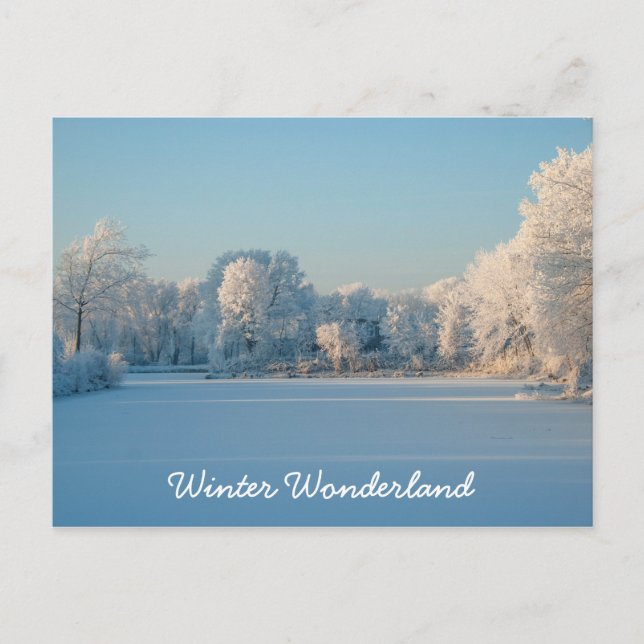 Winter Wonderland Paysage de neige Carte postale (Devant)