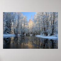 Winter Wonderland