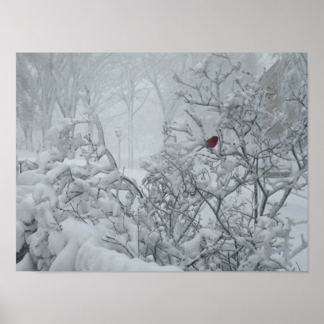 Winter Wonderland Poster (Vorne)