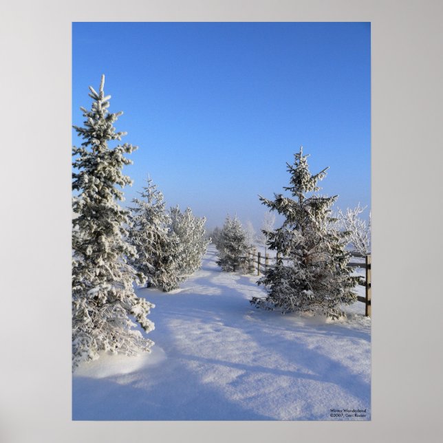 Winter Wonderland Poster (Vorne)