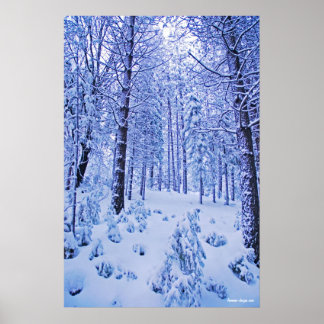 Winter Wonderland Poster