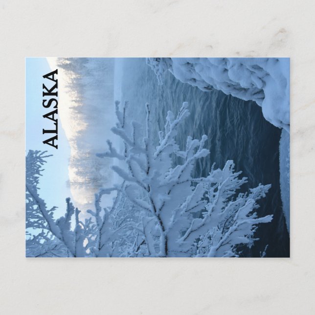 Winter Wonderland Postkarte (Vorderseite)