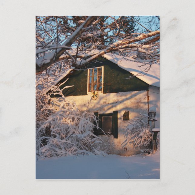 Winter Wonderland Postkarte (Vorderseite)