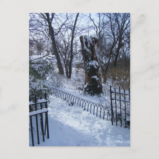 Winter Wonderland Riverside Park New York City NYC Postkarte (Vorderseite)