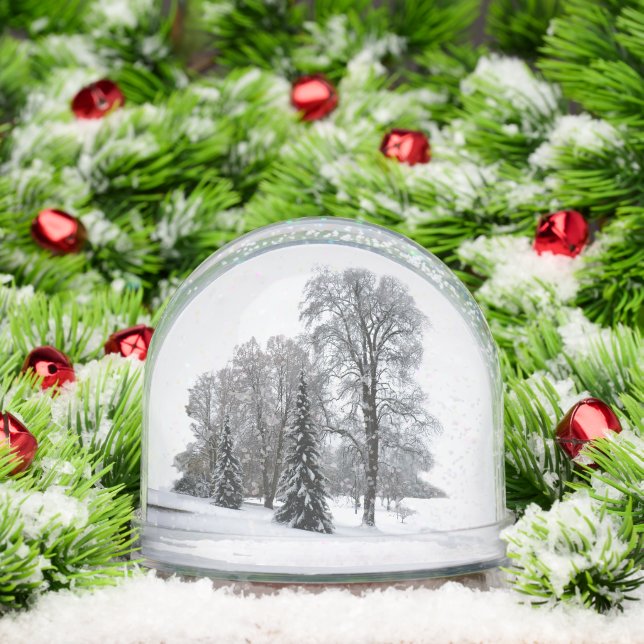 Winter Wonderland Snow Globe Snow Forest Snowglobe (Noël)
